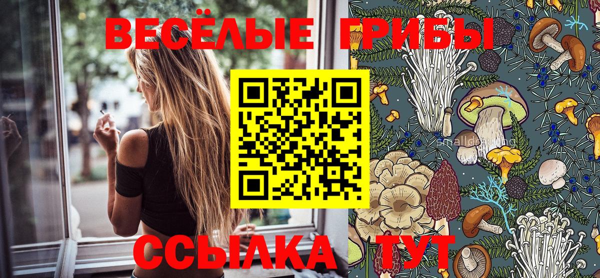 Псилоцибиновые грибы Magic Shrooms  Псилоцибиновые грибы MAGIC MUSHROOMS  Вход с VPN  Пушкино 